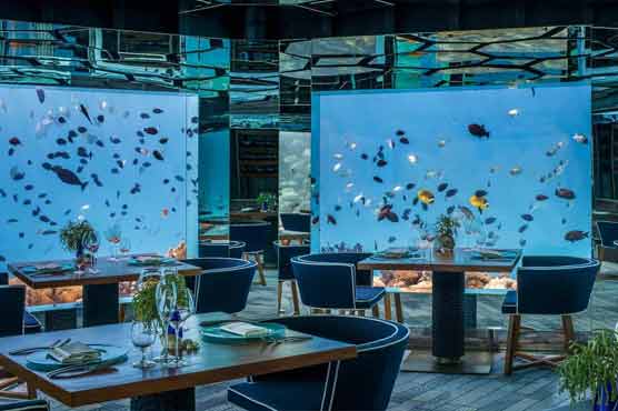 Anantara kihavah Underwater Dining